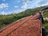 Iconic - Musaza Lot 3, Rwanda