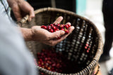Double Villamaria & Decaf Villamaria Pack