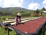 Producer - Kinini, Rwanda