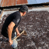 Iconic - Sweet Valley, Colombia