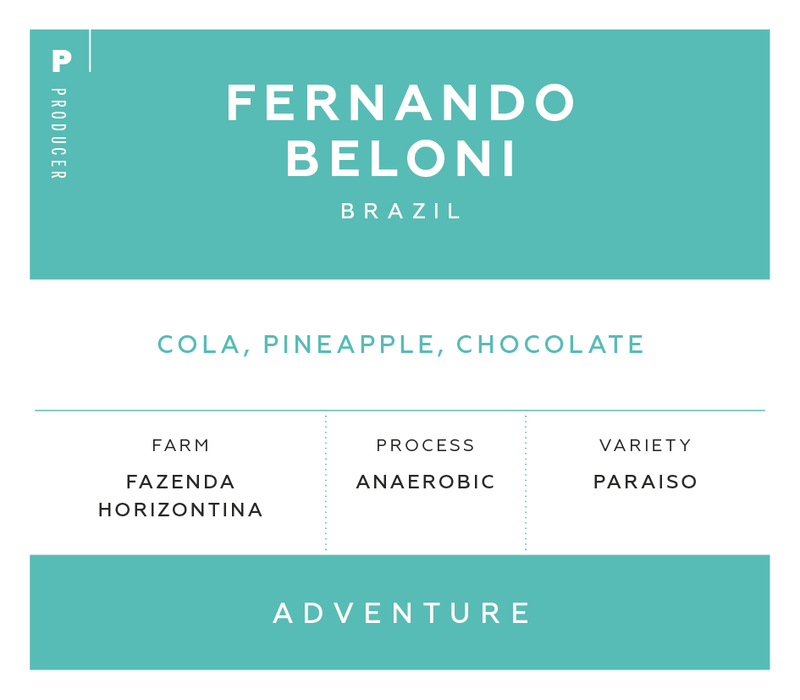 Producer - Fernando Beloni, Brazil