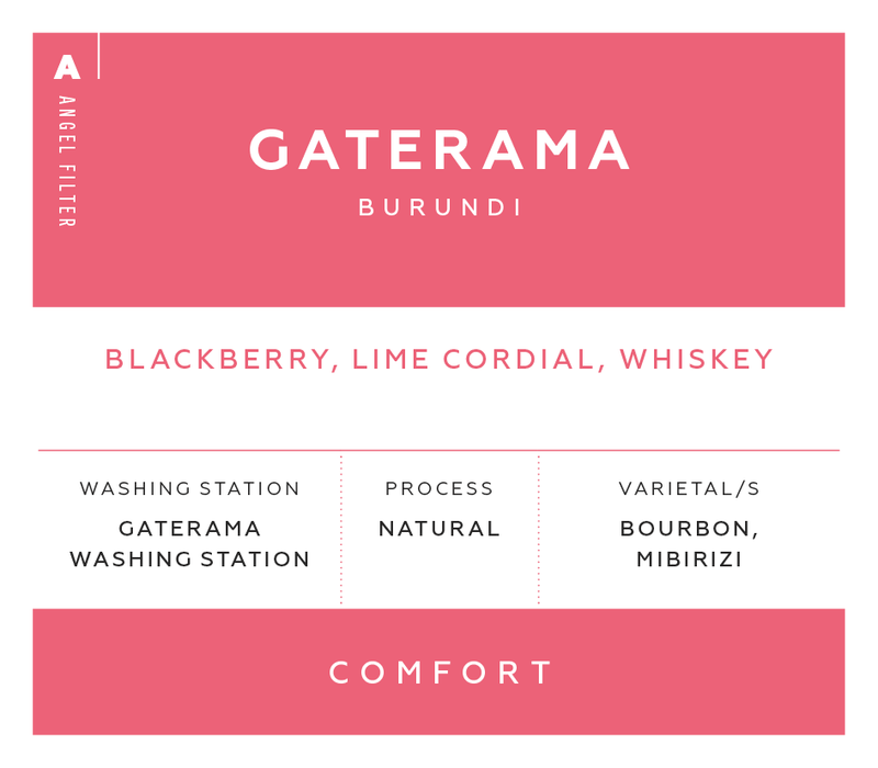 Angel Filter - Gaterama, Burundi