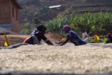 Iconic - Kinini Anaerobic, Rwanda