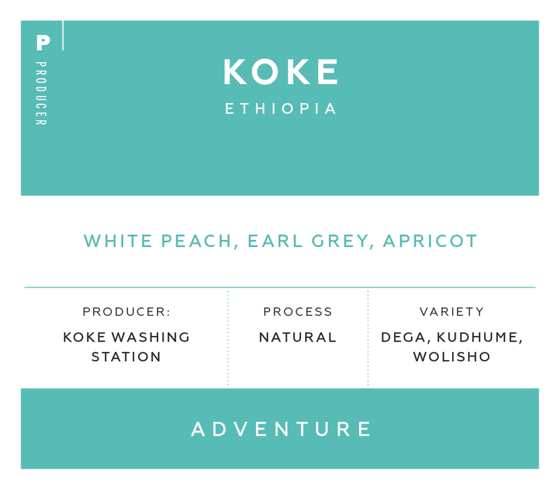 Producer - Koke, Ethiopia