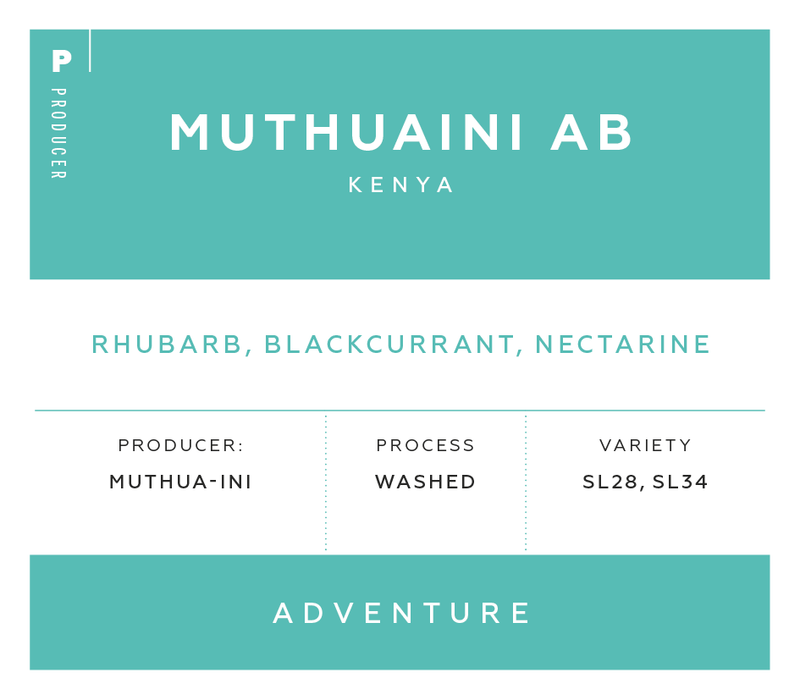 Producer - Muthuaini AB, Kenya