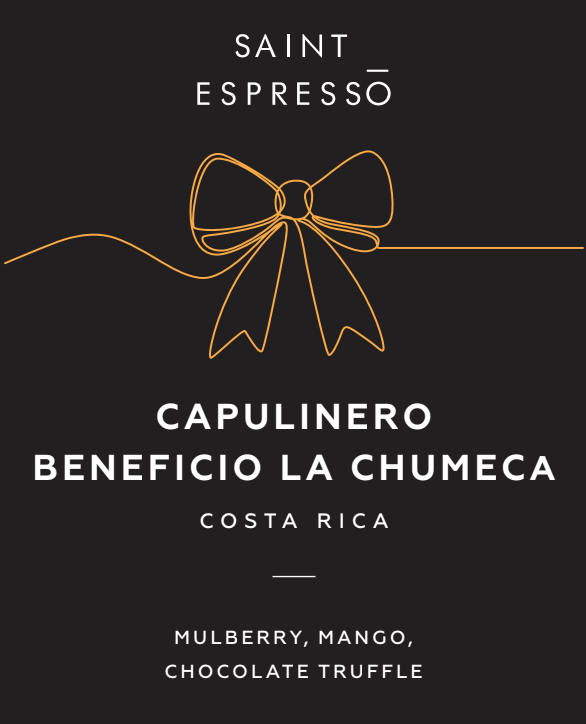 Iconic Christmas - Capulinero - Costa Rica