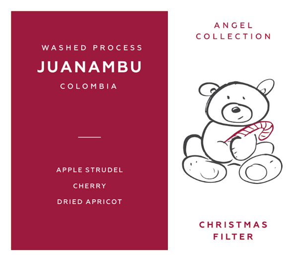 Christmas Angel Filter -  Juanambu, Colombia